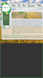 Mobile Screenshot of cortececoworks.com